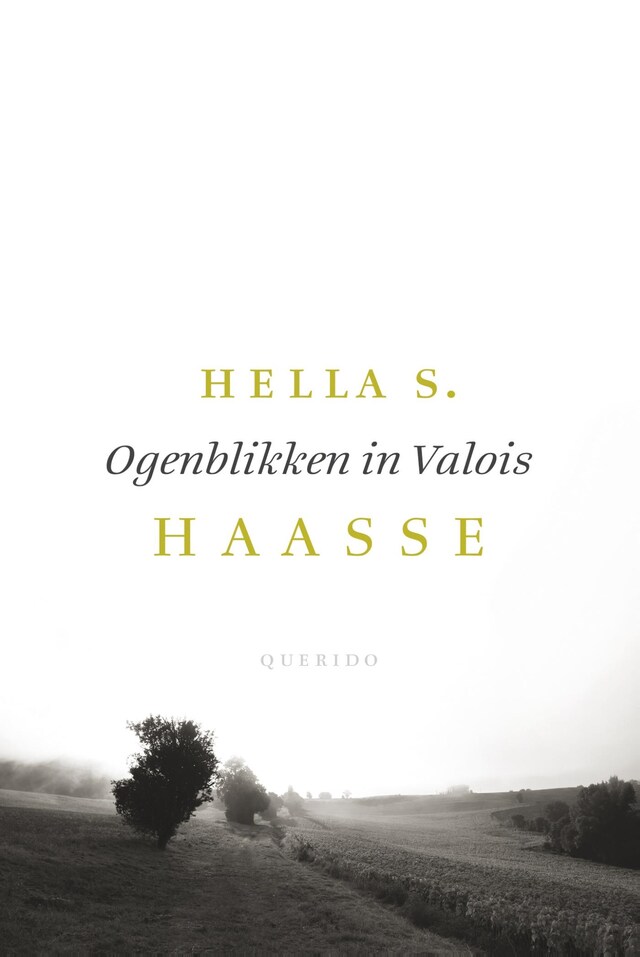 Buchcover für Ogenblikken in Valois