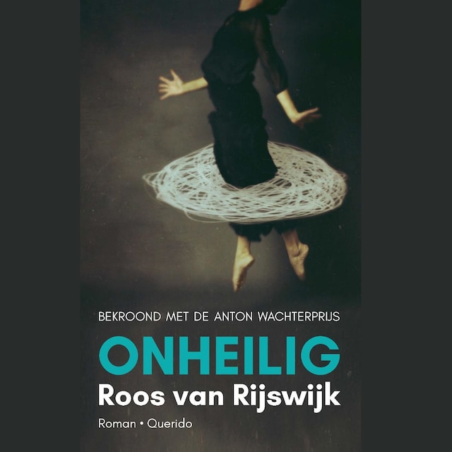 Book cover for Onheilig