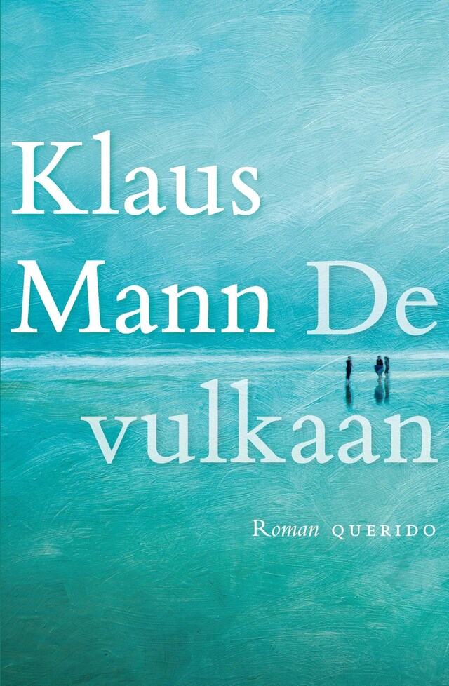 Book cover for De vulkaan