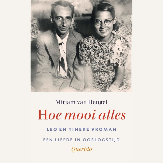 Book cover for Hoe mooi alles