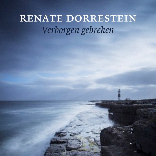 Book cover for Verborgen gebreken