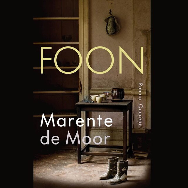 Copertina del libro per Foon