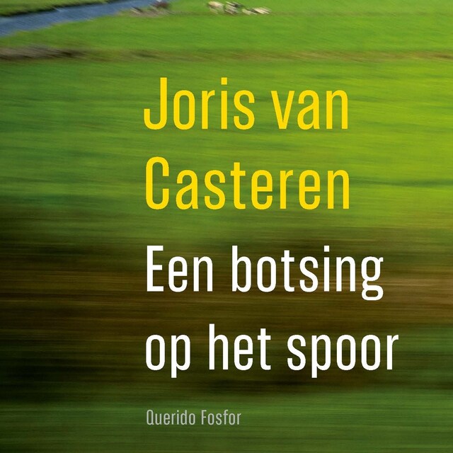 Couverture de livre pour Een botsing op het spoor