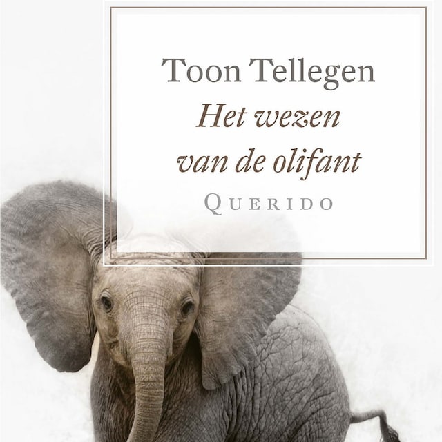 Couverture de livre pour Het wezen van de olifant