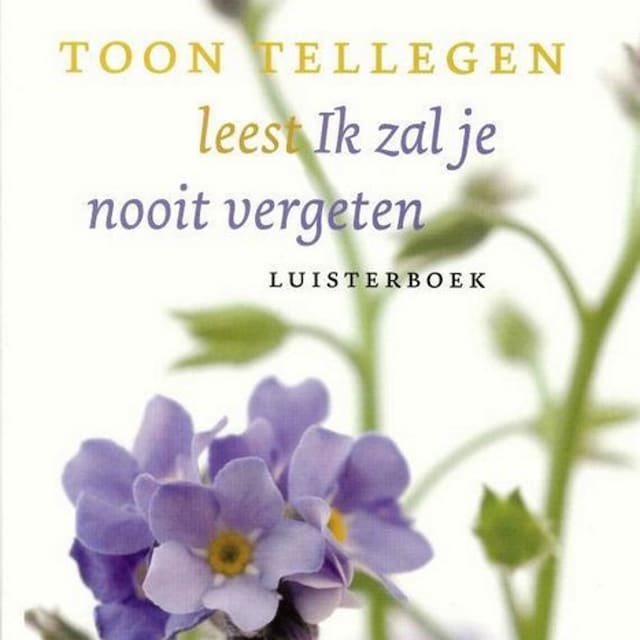 Book cover for Ik zal je nooit vergeten