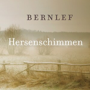 Hersenschimmen - luisterboek