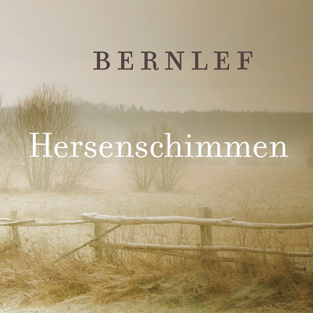 Book cover for Hersenschimmen