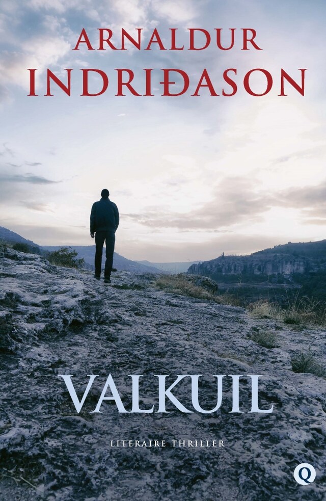 Okładka książki dla Valkuil