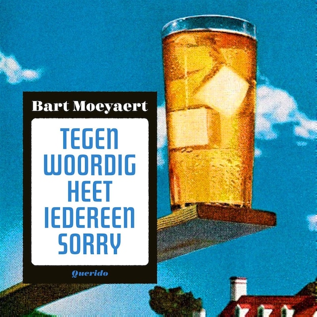Book cover for Tegenwoordig heet iedereen Sorry