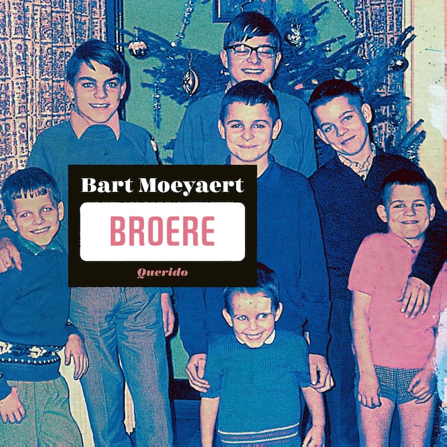 Book cover for Broere