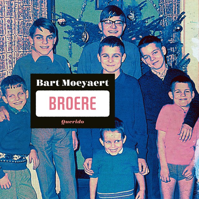 Copertina del libro per Broere