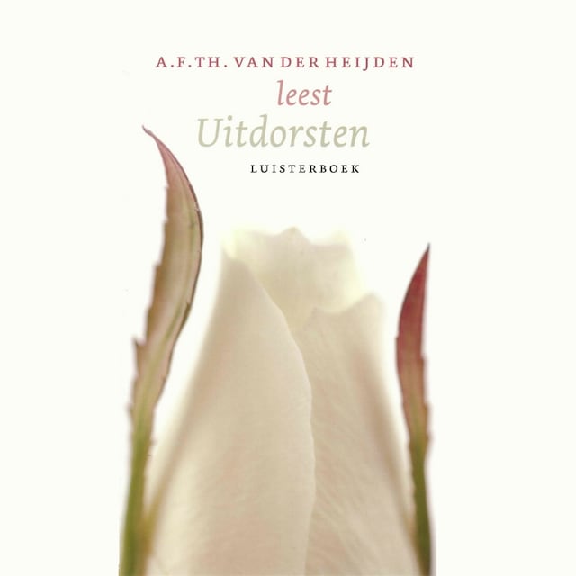 Book cover for Uitdorsten
