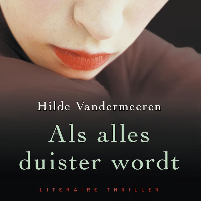Book cover for Als alles duister wordt