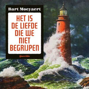 Het is de liefde die we niet begrijpen - luisterboek