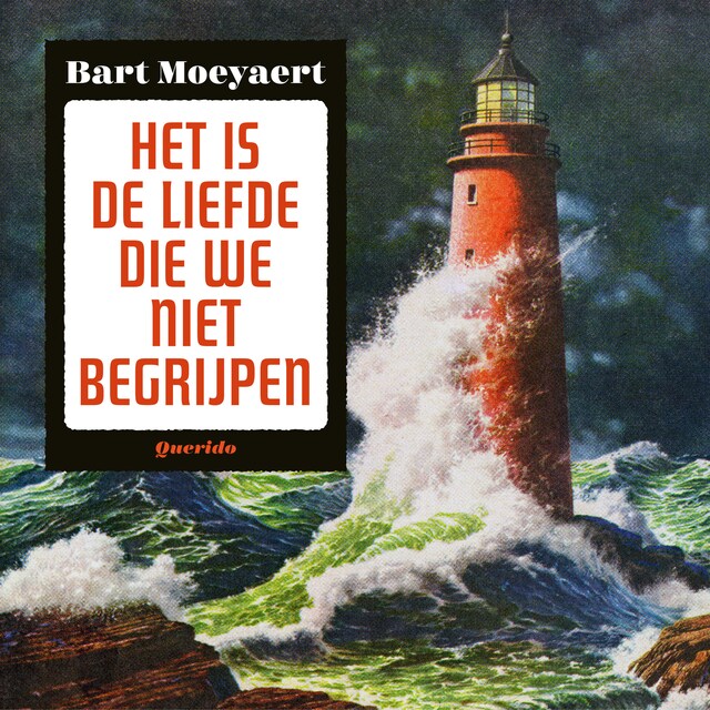 Portada de libro para Het is de liefde die we niet begrijpen