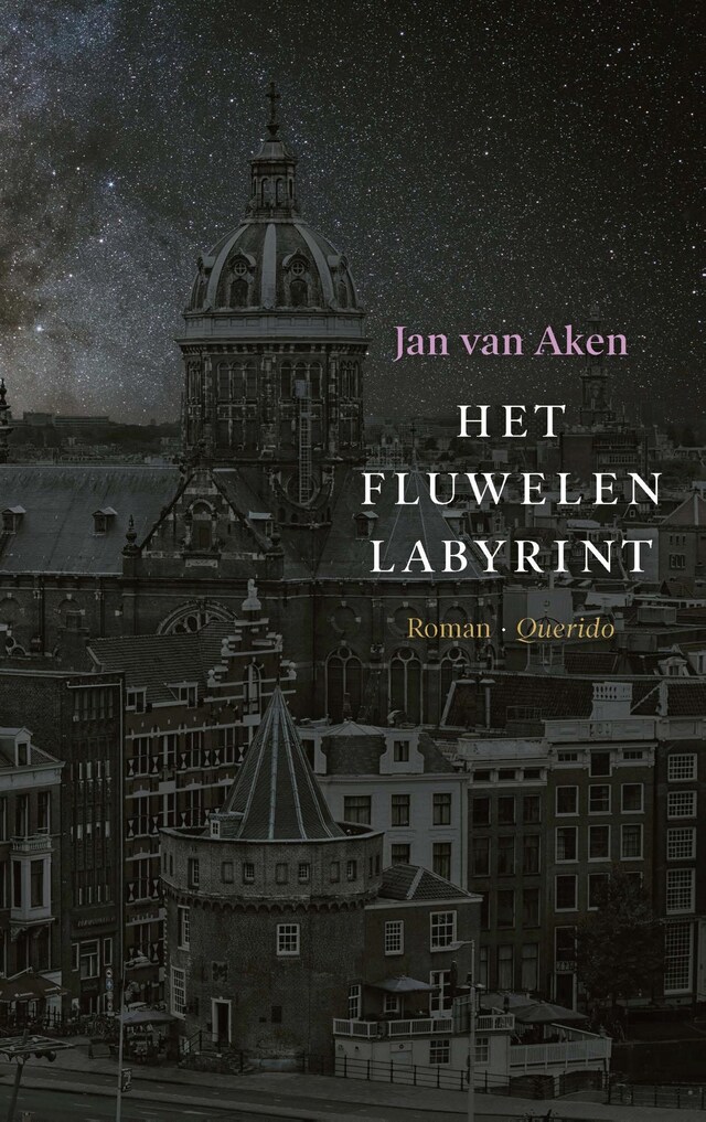 Book cover for Het fluwelen Labyrint