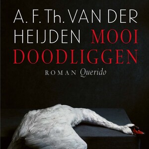 Mooi doodliggen - luisterboek