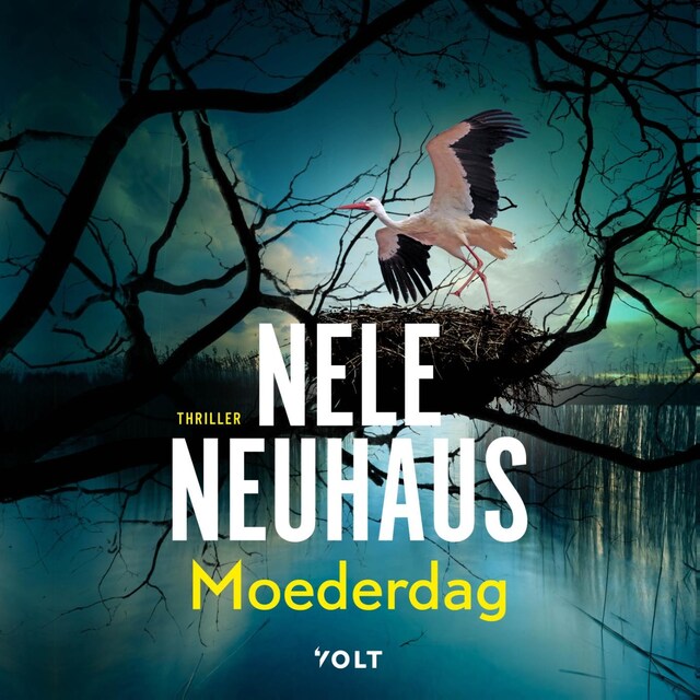 Book cover for Moederdag