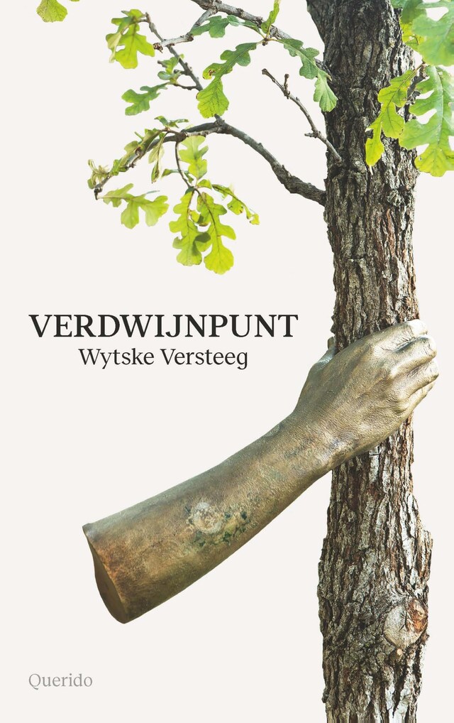 Copertina del libro per Verdwijnpunt