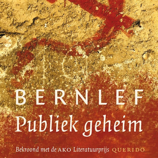 Book cover for Publiek geheim