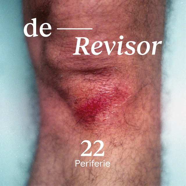 Book cover for De Revisor #22