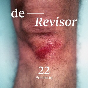 De Revisor #22 - luisterboek