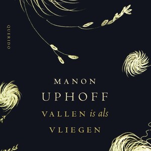 Vallen is als vliegen - luisterboek