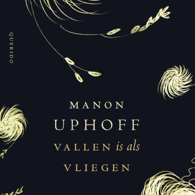 Buchcover für Vallen is als vliegen