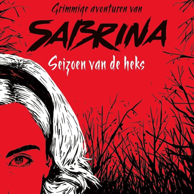Boekomslag van Grimmige avonturen van Sabrina