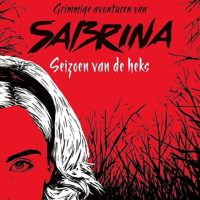 Book cover for Grimmige avonturen van Sabrina