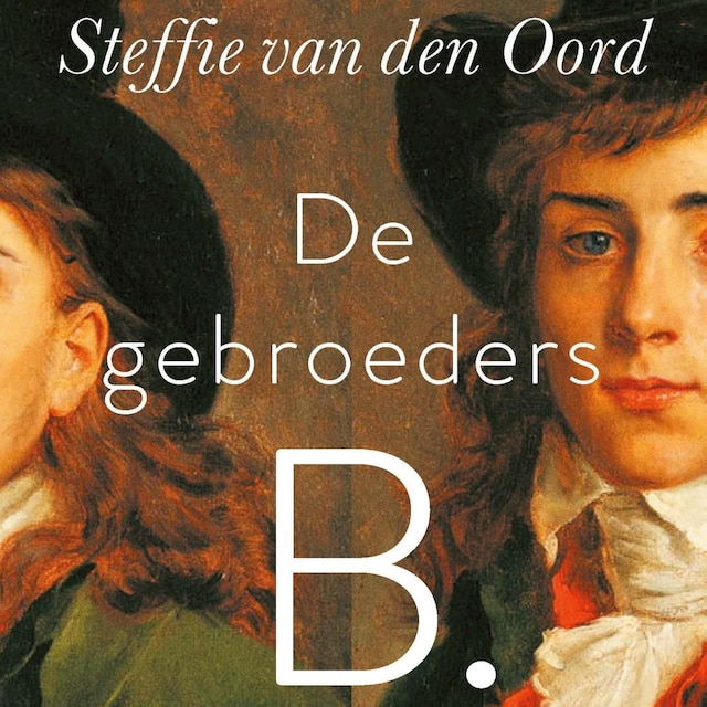 Buchcover für De gebroeders B.
