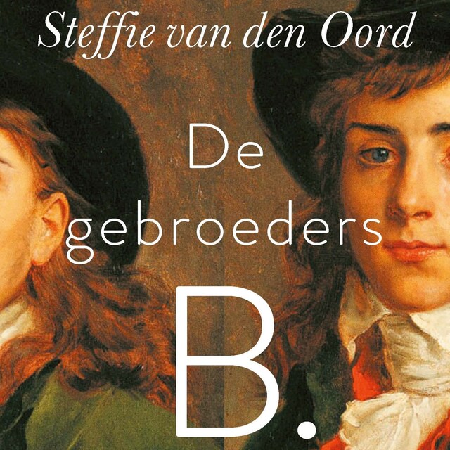 Book cover for De gebroeders B.