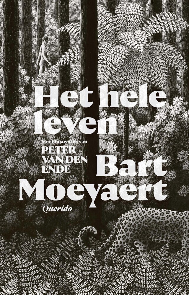 Copertina del libro per Het hele leven