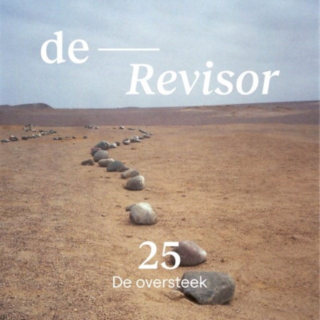 Book cover for De Revisor 25 De oversteek