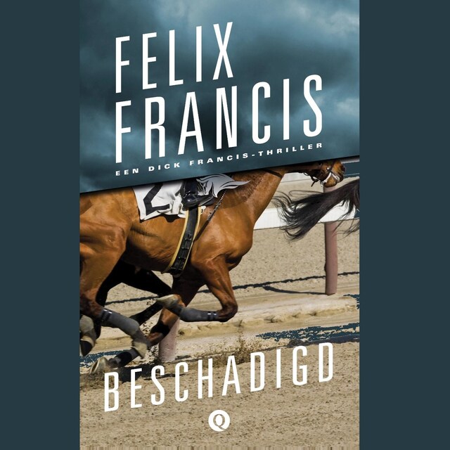Book cover for Beschadigd