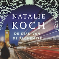 De stad van de alchemist