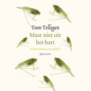 Maar niet uit het hart - luisterboek
