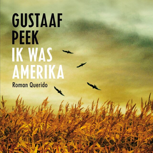 Copertina del libro per Ik was Amerika