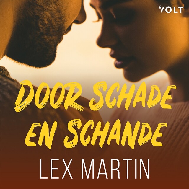 Copertina del libro per Door schade en schande