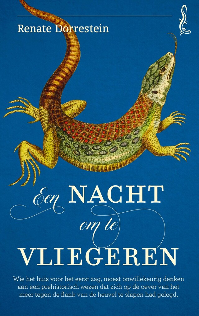 Buchcover für Een nacht om te vliegeren