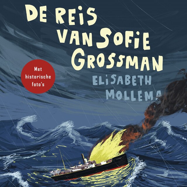 Book cover for De reis van Sofie Grossman