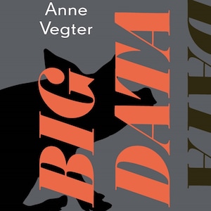 Big data - luisterboek