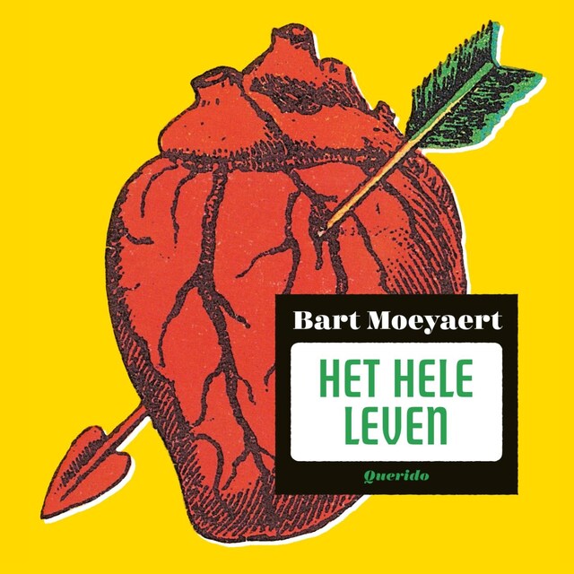 Book cover for Het hele leven