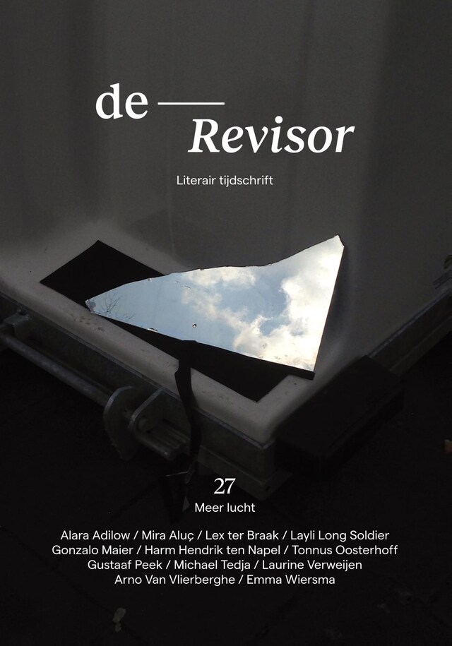 Buchcover für Revisor 27