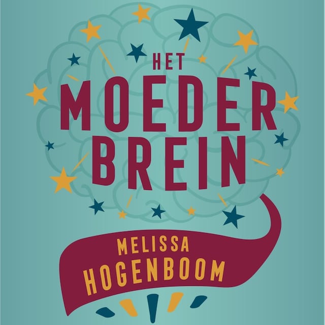 Book cover for Het moederbrein
