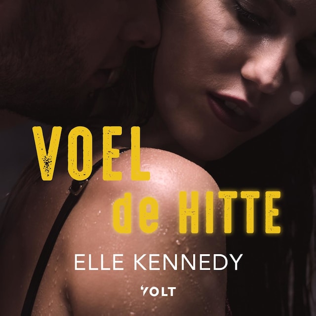 Book cover for Voel de hitte
