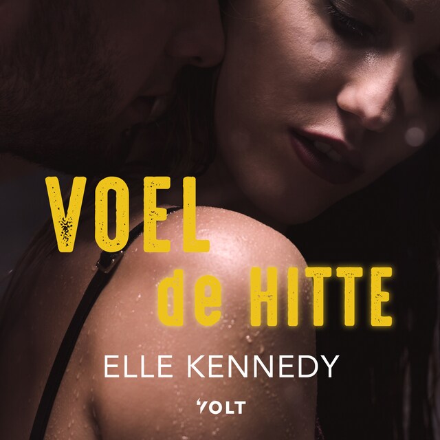 Book cover for Voel de hitte