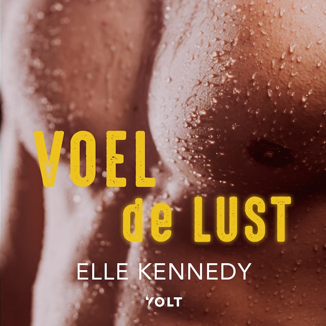 Book cover for Voel de lust