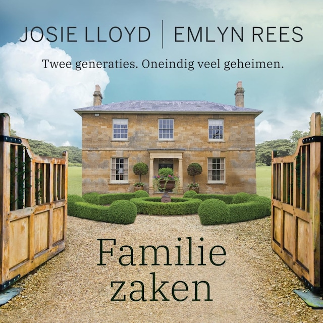 Book cover for Familiezaken