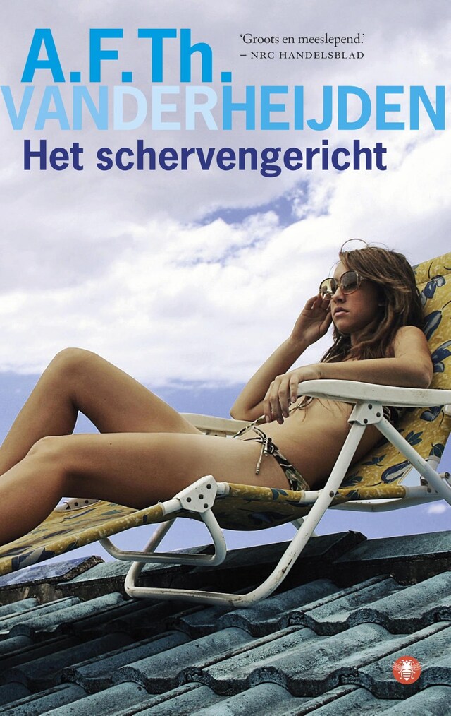 Copertina del libro per Het schervengericht